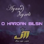 دانلود آهنگ او هاردان بیلسین از آینور عسگرلی