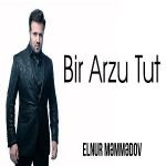 دانلود آهنگ Elnur Memmedov Bir Arzu Tut
