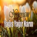 دانلود آهنگ Xeyyam Yağış Yağır Narın
