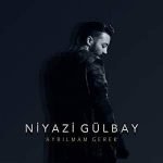 دانلود آهنگ Niyazi Gülbay Ayrılmam Gerek