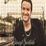 دانلود آهنگ Cüneyt Şentürk Ayrılık