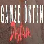 دانلود آهنگ Gamze Ökten Dostum