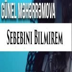 دانلود آهنگ Günel Meherremova Sebebini Bilmirem