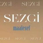 دانلود آهنگ مالسف از سزگی