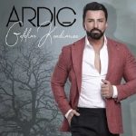 دانلود آهنگ گللیم کندیمیزه از آردیچ