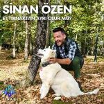 دانلود آهنگ ات تیرناکتان آیری اولور مو از سینان اوزن