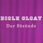 دانلود آهنگ دور سوزونده از دیجله اولجای