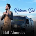 دانلود آهنگ روحوما دل از هابیل احمدوف