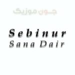 دانلود آهنگ سانا دایر از سبینور