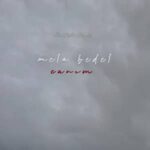 دانلود آهنگ جانیم از ملا بدل