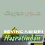 دانلود آهنگ حسرتیندن از سوینج عابدین