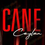 دانلود آهنگ جانه از جیلان