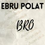 دانلود آهنگ برو از ابرو پولات