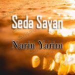 دانلود آهنگ نارین یاریم از صدا سایان