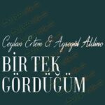 دانلود آهنگ بیر تک گوردوغوم از جیلان ارتم