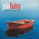 دانلود آهنگ ساکینلشتیم از پینهانی