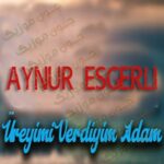 دانلود آهنگ اورییمی وردییم آدام از آینور عسگرلی