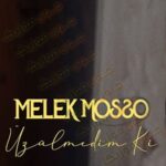 دانلود آهنگ اوزولمدیم کی از ملک موسو