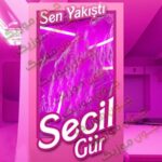 دانلود آهنگ سن یاکیشتی از سچیل گور