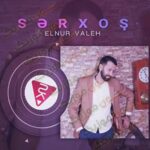 دانلود آهنگ سرخوش از النور واله