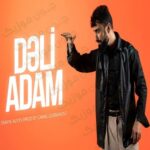 دانلود آهنگ دلی آدام از اسماعیل علی اف