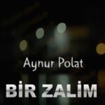 دانلود آهنگ بیر ظالیم از آینور پولات