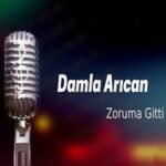 دانلود آهنگ زوروما گیتی از داملا آریجان
