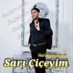 دانلود آهنگ ساری چیچییم از نورلان اردوبادلی