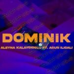دانلود آهنگ ترکی آلینا کالایجی اوغلو دومینیک