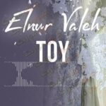 دانلود آهنگ آذری النور واله توی