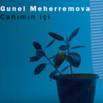 دانلود آهنگ آذری گونل محرموا جانیمین ایچی