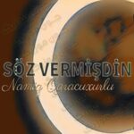 دانلود آهنگ آذری نامیق قاراچوخورلو سوز ورمیشدین