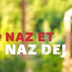 دانلود آهنگ ترکی ناز دج ناز ات