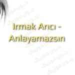 دانلود آهنگ ترکی ایرماک آریجی آنلایامازسین
