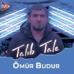 دانلود آهنگ آذری طالب طالع اومور بودور