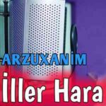 دانلود آهنگ آذری آرزو خانیم ایلر هارا تلسیرسن