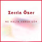 دانلود آهنگ ترکی زرین اوزر نه حالین وارسا گور