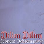 دانلود آهنگ آذری شبنم قهرمانوا دیلیم دیلیم