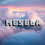 دانلود آهنگ ترکی سیلا مسلا