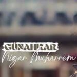 دانلود آهنگ ترکی نگار محرم گناهکار