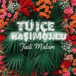 دانلود آهنگ ترکی تویچه هاشم اوغلو فایلی مالوم