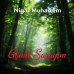 دانلود آهنگ ترکی نگار محرم گونول ساراییم