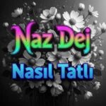 دانلود آهنگ ترکی ناز دج ناسیل تاتلی