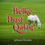 دانلود آهنگ آذری شبنم تووزلو بلکه دوست قالاق