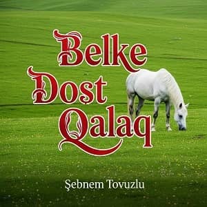 دانلود آهنگ آذری شبنم تووزلو بلکه دوست قالاق