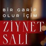 دانلود آهنگ ترکی زینت سالی بیر گاریپ اولور ایچیم