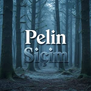 دانلود آهنگ ترکی پلین سیچیم