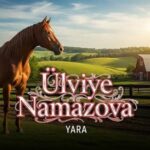 دانلود آهنگ آذری اولویه نمازوا یارا