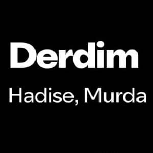 دانلود آهنگ ترکی حادیثه دردیم