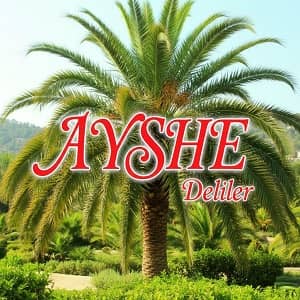 دانلود آهنگ ترکی عایشه دلیلر